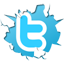 Twitter Graphic Button